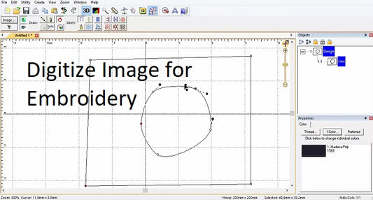 Digitizing Setup Fee